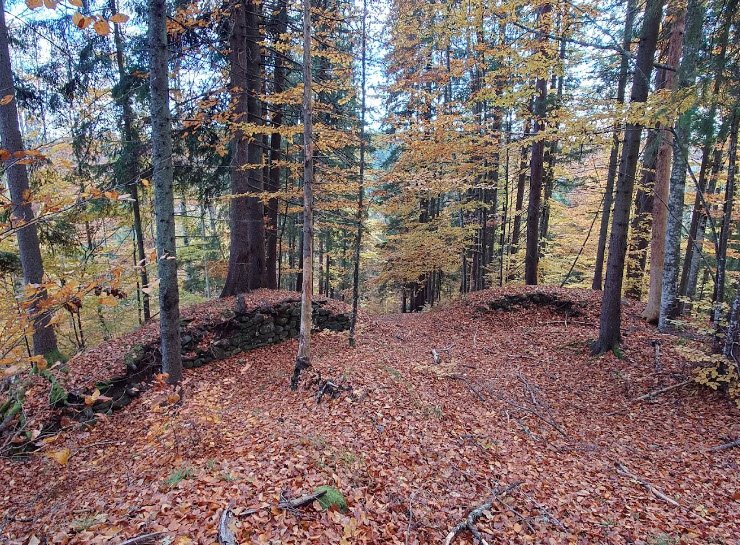 Cetatea Tartód (Vărşag), Romania, Romania